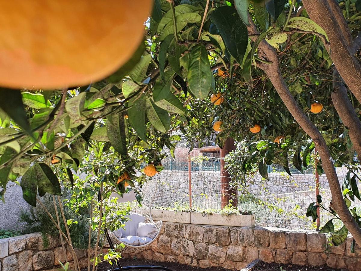 Barbara'S Garden Apartment Dubrovnik Kültér fotó